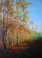 /album/galerie-de-photos-arbres/sous-bois-automne-jpg1/